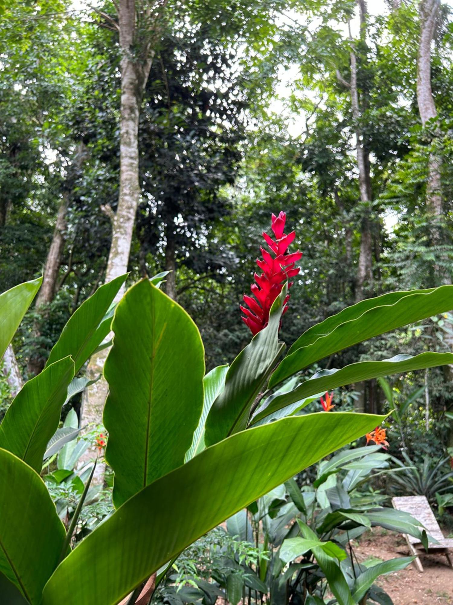 Chale Ouro Verde Angra dos Reis Eksteriør bilde